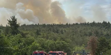 Bilecik’te orman yangını başladı
