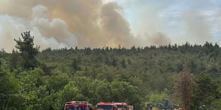 Bilecik’te orman yangını başladı