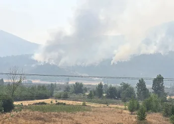 Bilecik’te alevler yeniden yükseldi