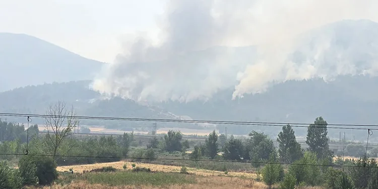 Bilecik’te alevler yeniden yükseldi