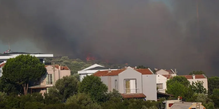 İzmir’de orman yangınları: 1 kişi hayatını kaybetti