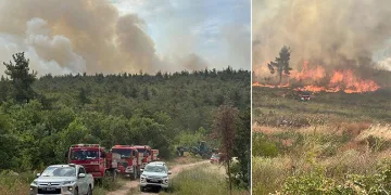 Bilecik’te orman yangını kontrol altında