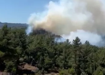 Isparta’da ormanlık alanda yangın
