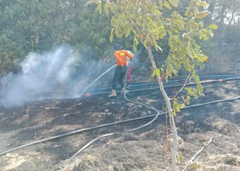 Gönen’de ormanlık alanda çıkan yangın söndürüldü
