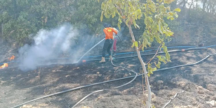 Gönen’de ormanlık alanda çıkan yangın söndürüldü