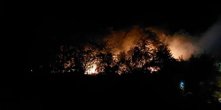 Sakarya’daki yangınla ilgili tutuklama