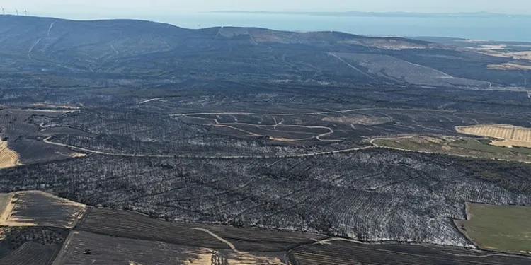 Çanakkale’de 119 futbol sahası büyüklüğünde alan yandı