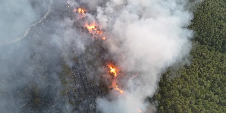 Karabük’te orman yangını: 95 ev tahliye edildi