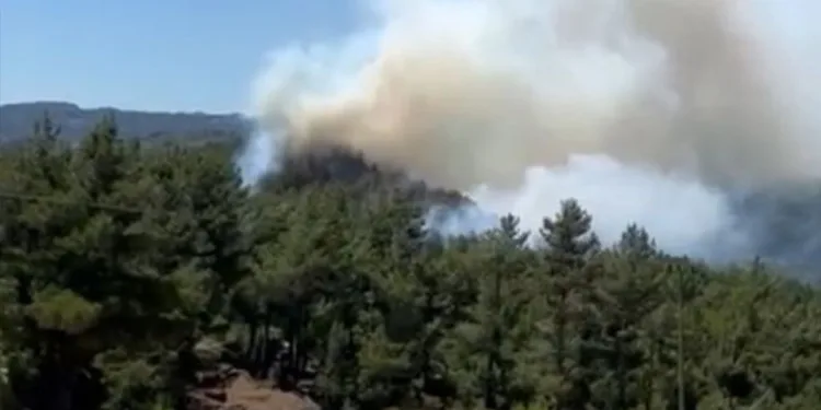 Isparta’da ormanlık alanda yangın
