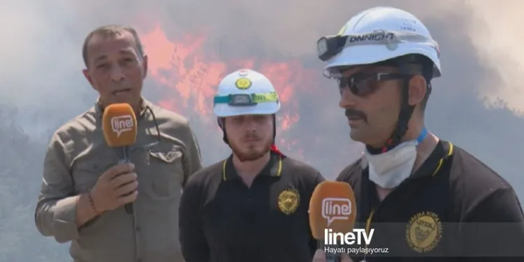 Line TV Bilecik’te yangın bölgesinde: “Yanacak yer kalmadı”
