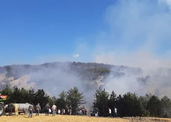 Bolu’daki orman yangını 5.saatinde