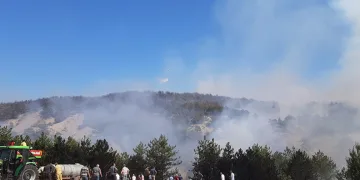 Bolu’daki orman yangını 5.saatinde