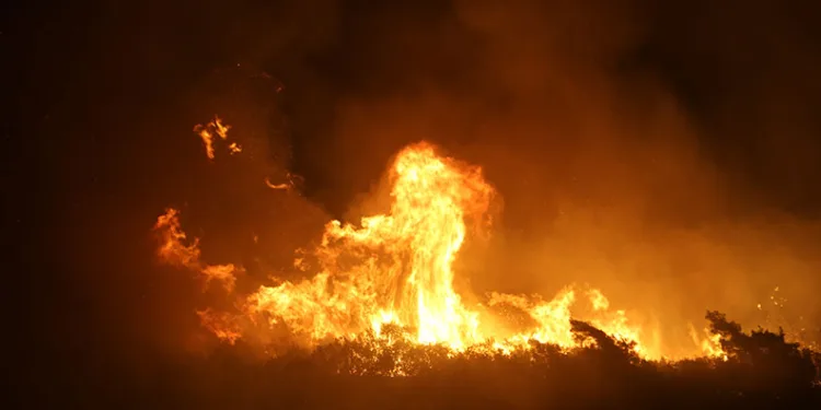 Yayladağı’ndaki orman yangını kontrol altında