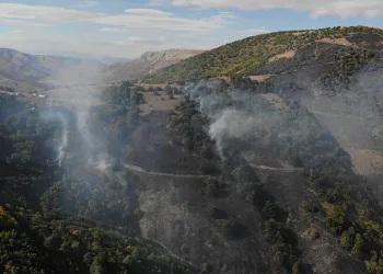 Gümüşhane’deki orman yangınında 30 hektar alan küle döndü