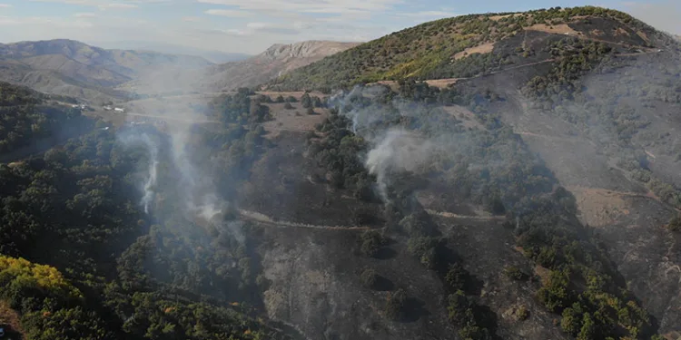 Gümüşhane’deki orman yangınında 30 hektar alan küle döndü