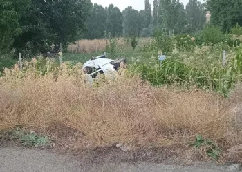 Otomobil mısır ekili araziye devrildi: 2 yaralı