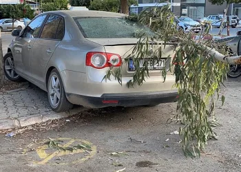 Kırılan ağaç dalı otomobile zarar verdi