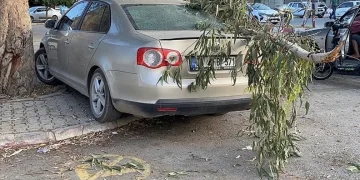 Kırılan ağaç dalı otomobile zarar verdi