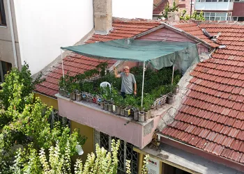 Terasını bahçeye çevirdi