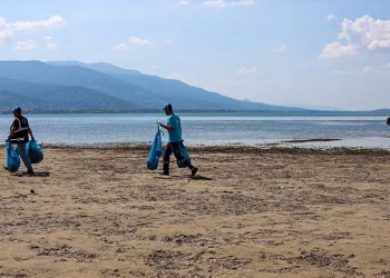 Sapanca Gölü çevresinden 2 ton çöp toplandı