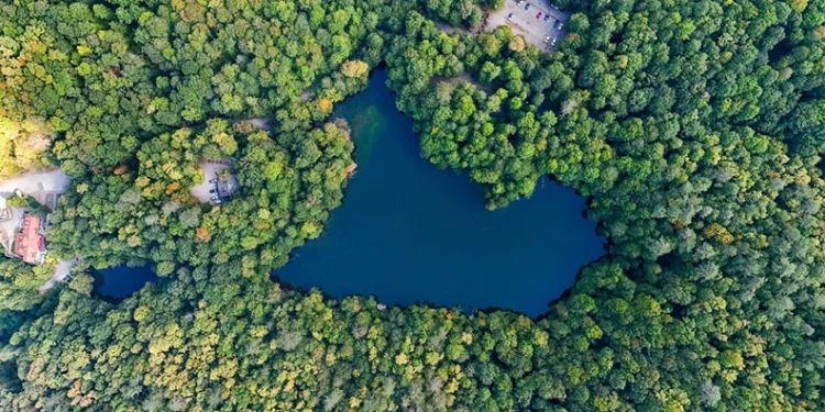 Yedigöller’de sonbahar cümbüşü