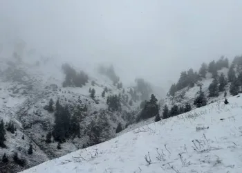 Artvin’de yaylalar kar altında