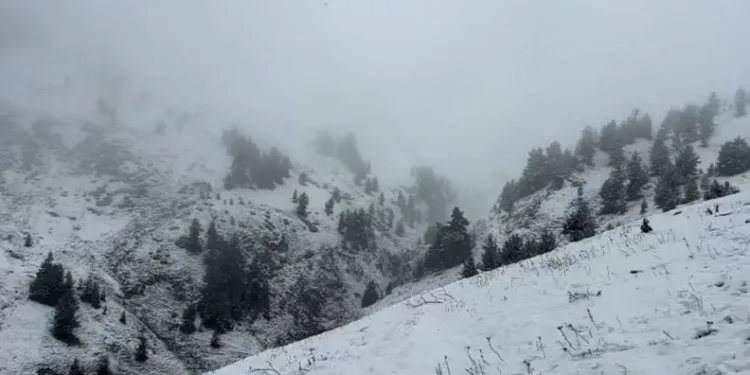 Artvin’de yaylalar kar altında