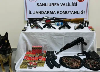 Şanlıurfa’da ruhsatsız silah operasyonu