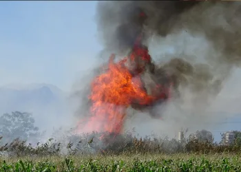 Antalya’da kargılık alanda yangın