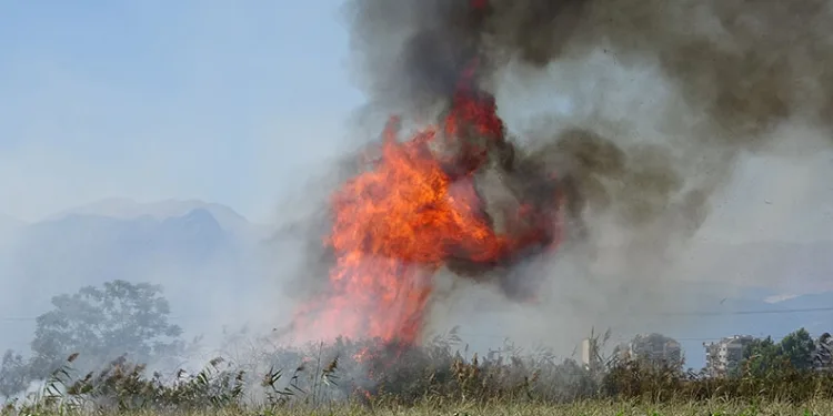 Antalya’da kargılık alanda yangın
