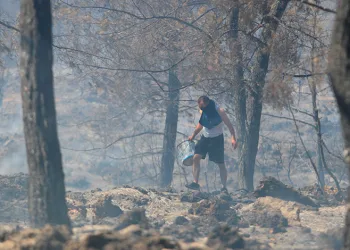 Antalya’da ormanlık alandaki yangın büyümeden söndürüldü