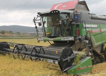 Manyas Ovası’nda çeltik hasadı başladı