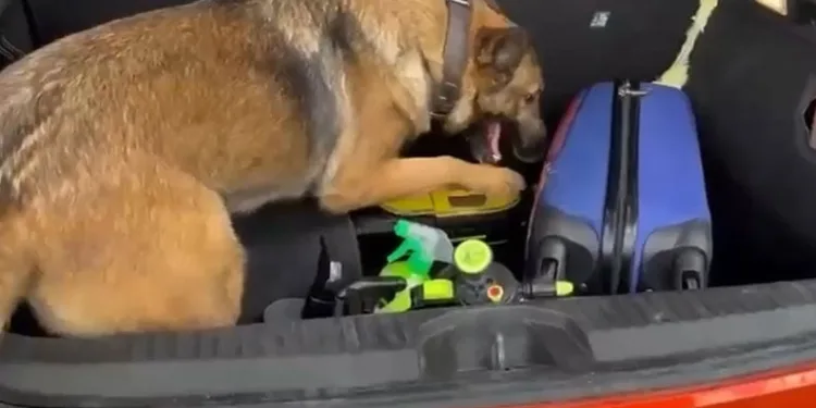 Süpürgeye zulalanmış uyuşturucu ele geçirildi