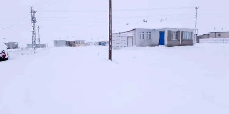 Aşkale beyaza büründü