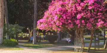 Adana’da yazdan kalma günler yaşanıyor