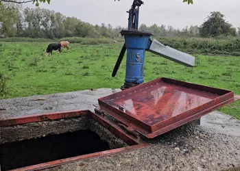Zonguldak’ta su kuyusunda kadın cesedi bulundu