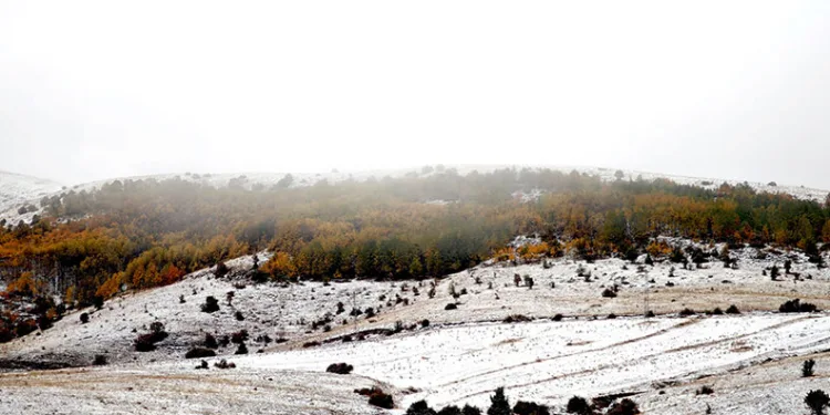 Sivas hazan ile kışı aynı anda yaşadı