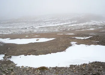 Muş’a mevsimin ilk karı yağdı