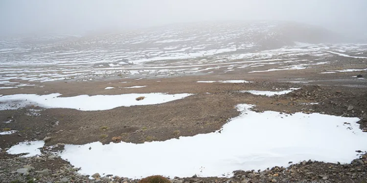 Muş’a mevsimin ilk karı yağdı