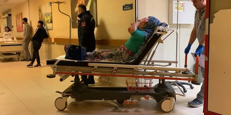 Bursa’da adımlar şiddetsiz dünya için atıldı