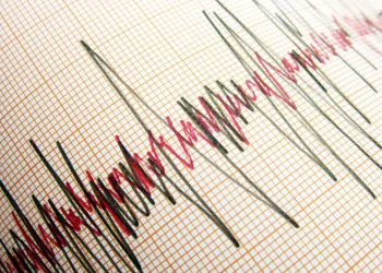 Transfer fayına dikkat!