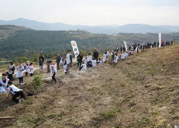 Samsun’da Milli Ağaçlandırma Günü