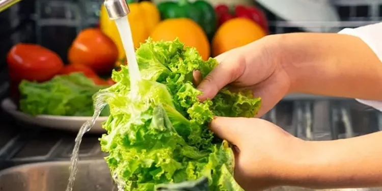 Gıda güvenliği sağlığı doğrudan etkiliyor