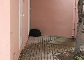 Şelaleleri gezmeye giden muhtar 30 metre yükseklikten düşerek yaralandı