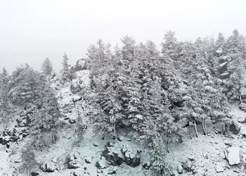 Bolu’nun yükseklerinde kar yağışı etkili oluyor