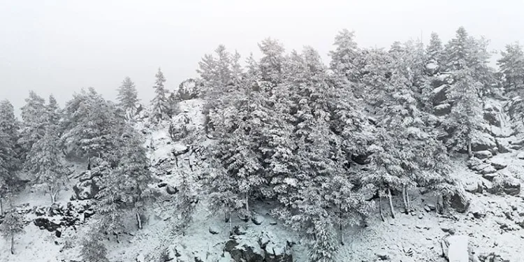 Bolu’nun yükseklerinde kar yağışı etkili oluyor