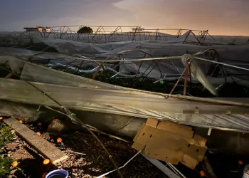 Antalya’da hortum seralara zarar verdi
