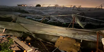 Antalya’da hortum seralara zarar verdi