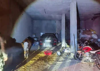 İzmir’de Ramazan öncesi fahiş fiyat denetimi