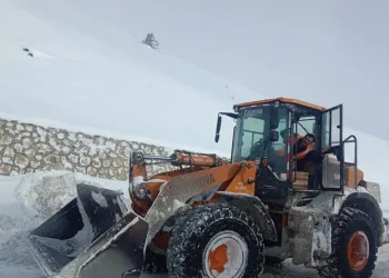 Rize’de itfaiyeden “50 kuruşluk” operasyon